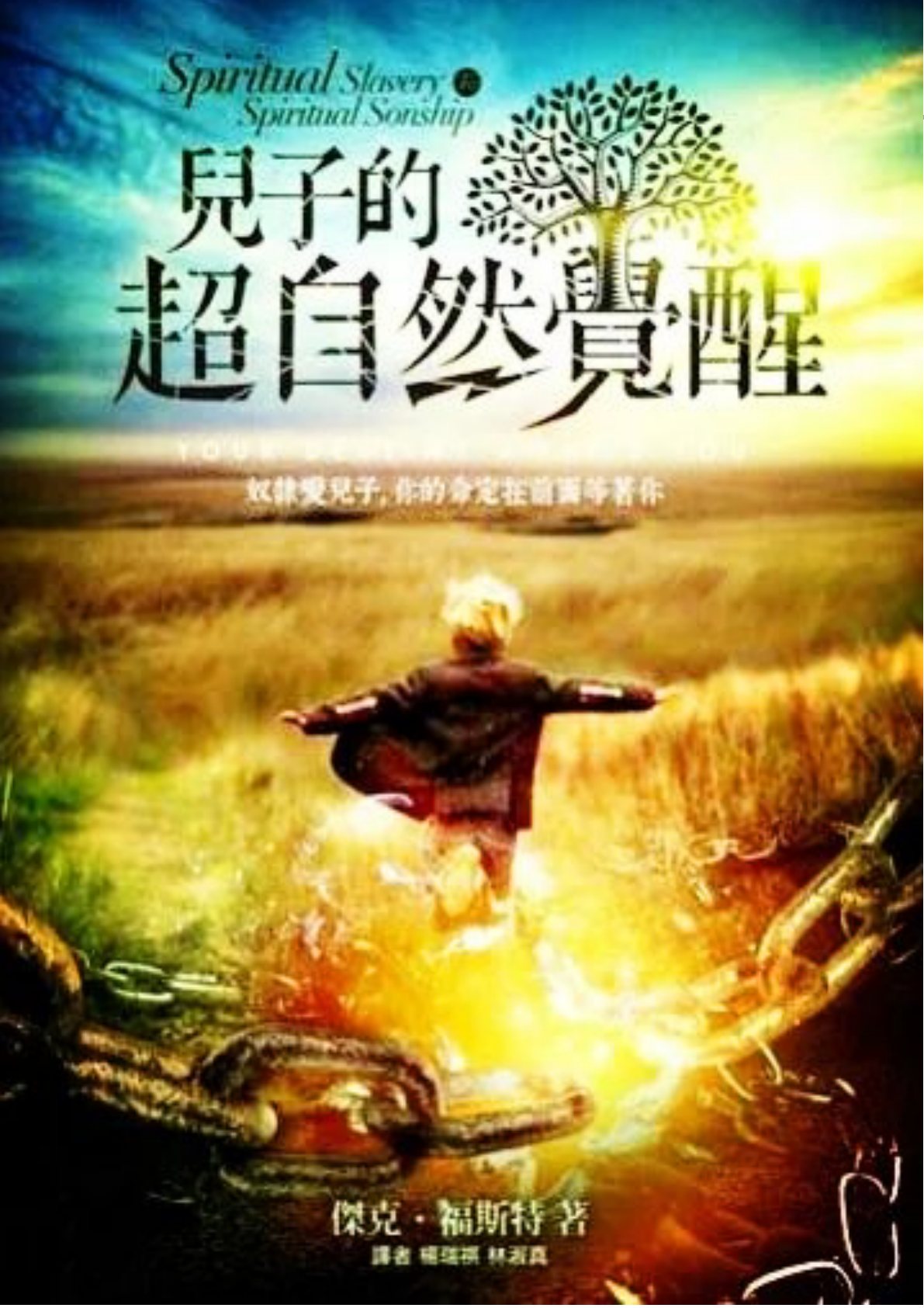 儿子的超自然觉醒 封面