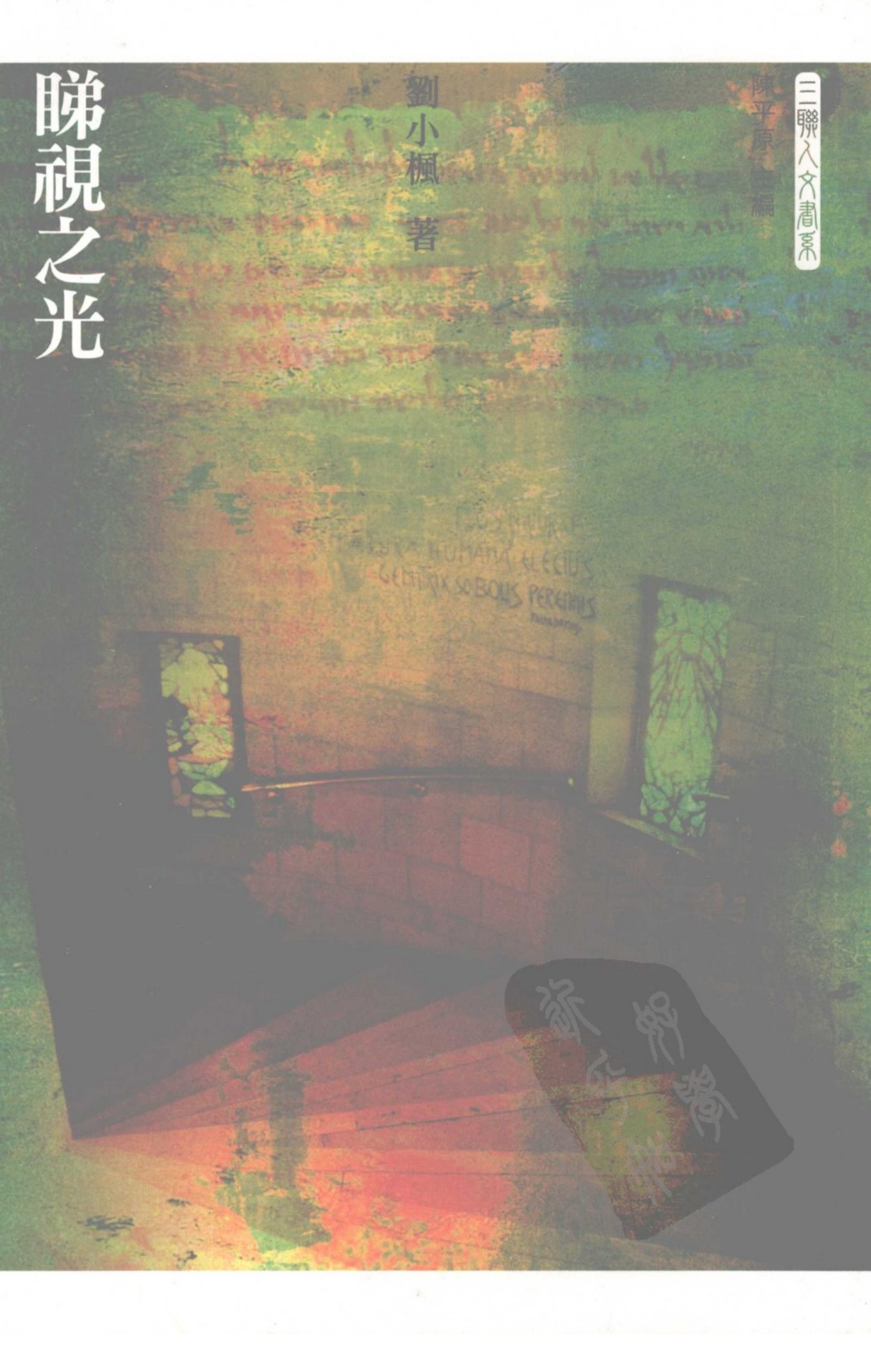 睇视之光 封面