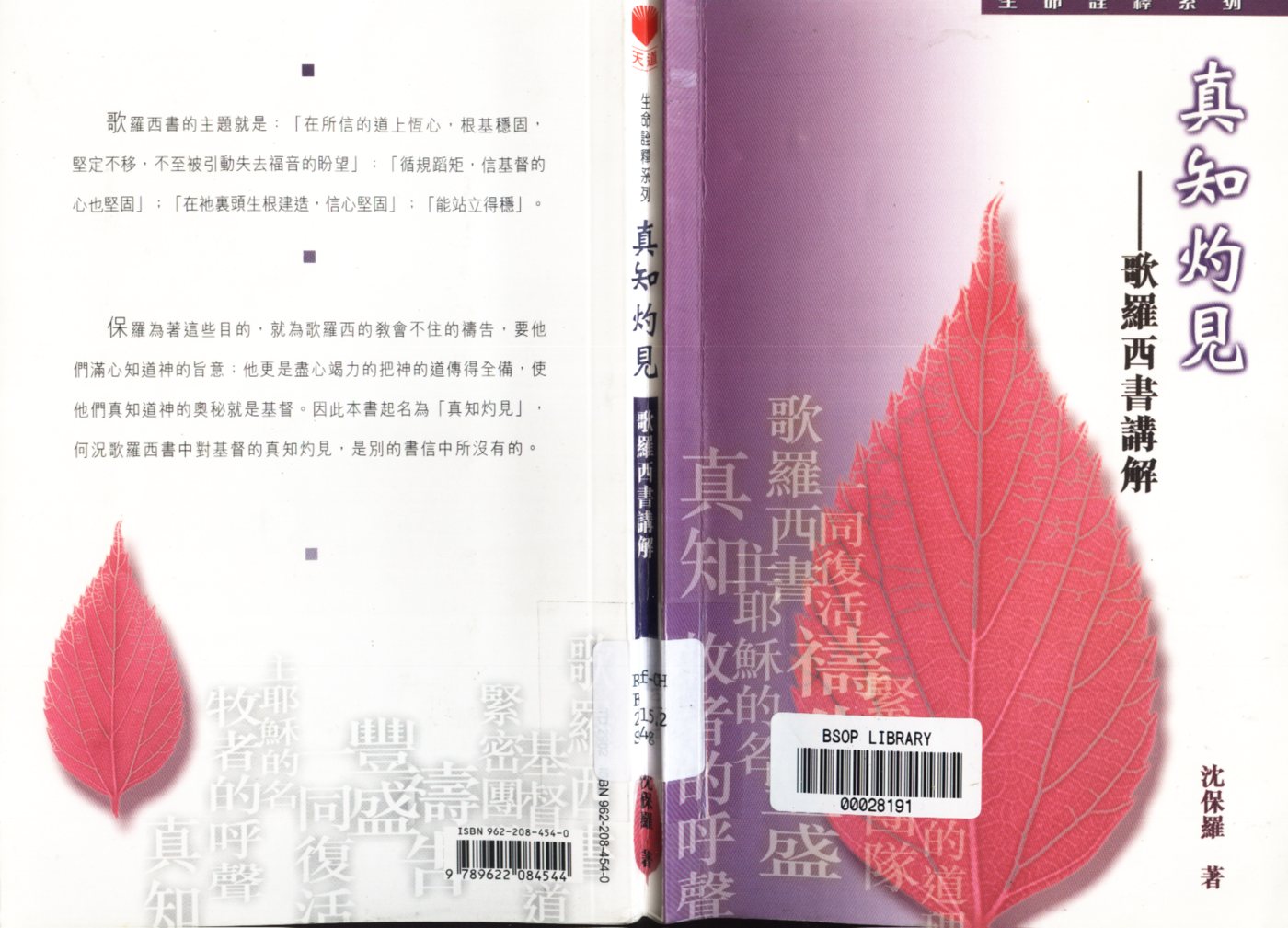 真知灼见：歌罗西书讲解 封面