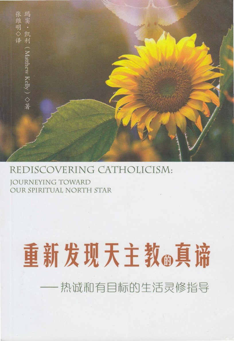 重新发现天主教的真谛 封面