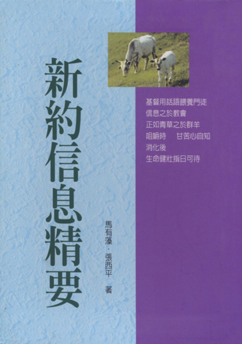 新约信息精要 封面
