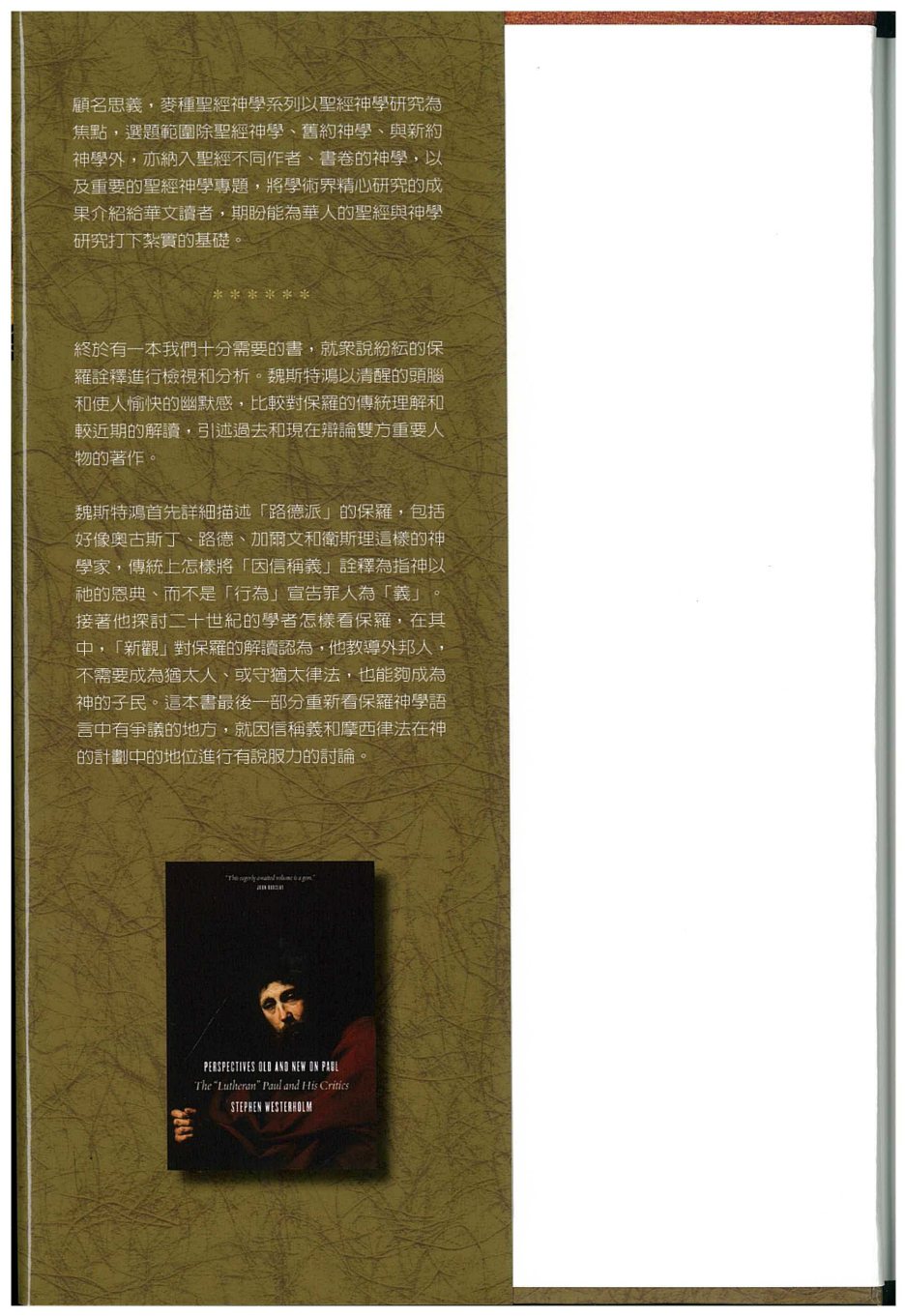 保罗神学新旧观 第 3 页预览