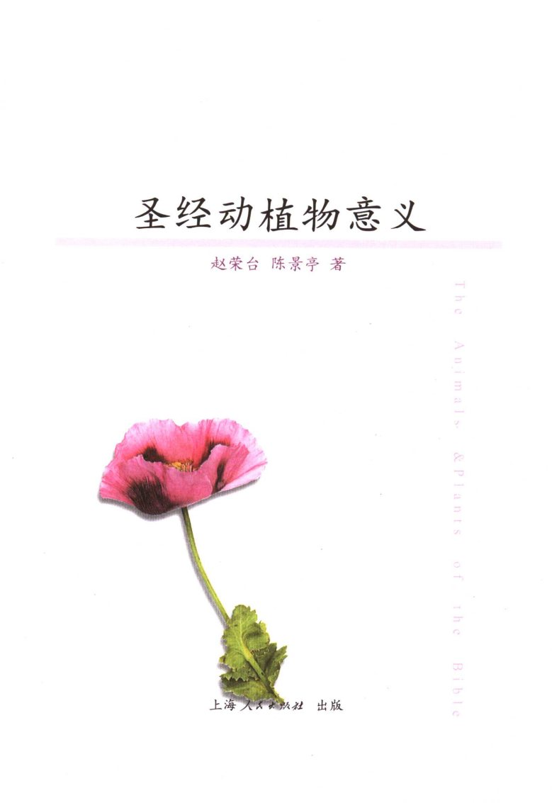 圣经动植物意义 第 4 页预览