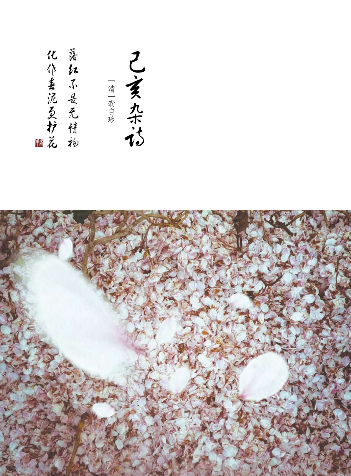 2012年秋季号：生命的造就与牧养 第 2 页预览