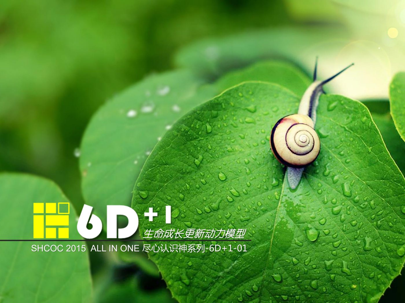 尽心认识神（一）：导论 第 1 页预览
