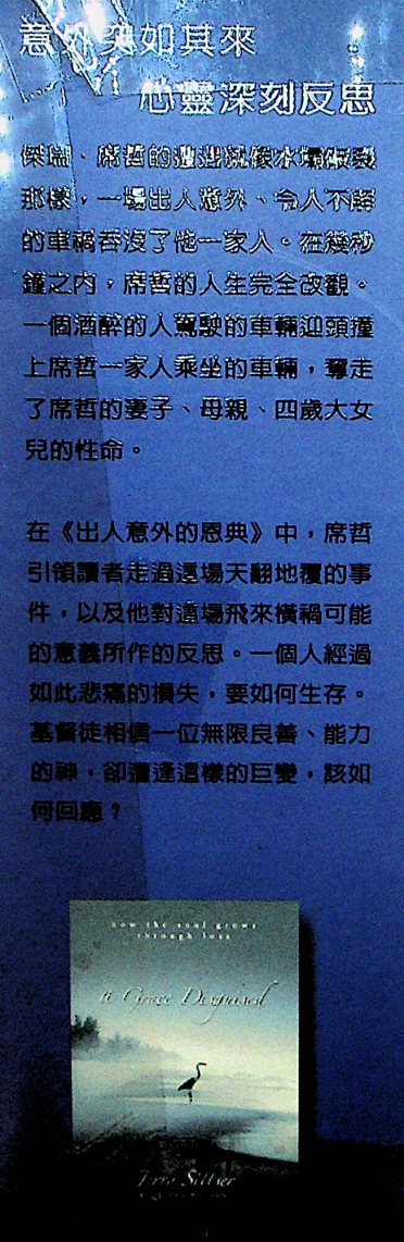出人意外的恩典 第 2 页预览