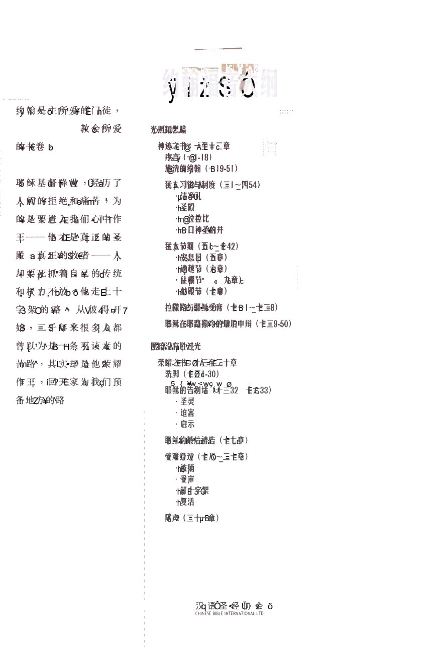 国际释经应用：约翰福音（卷下） 第 2 页预览