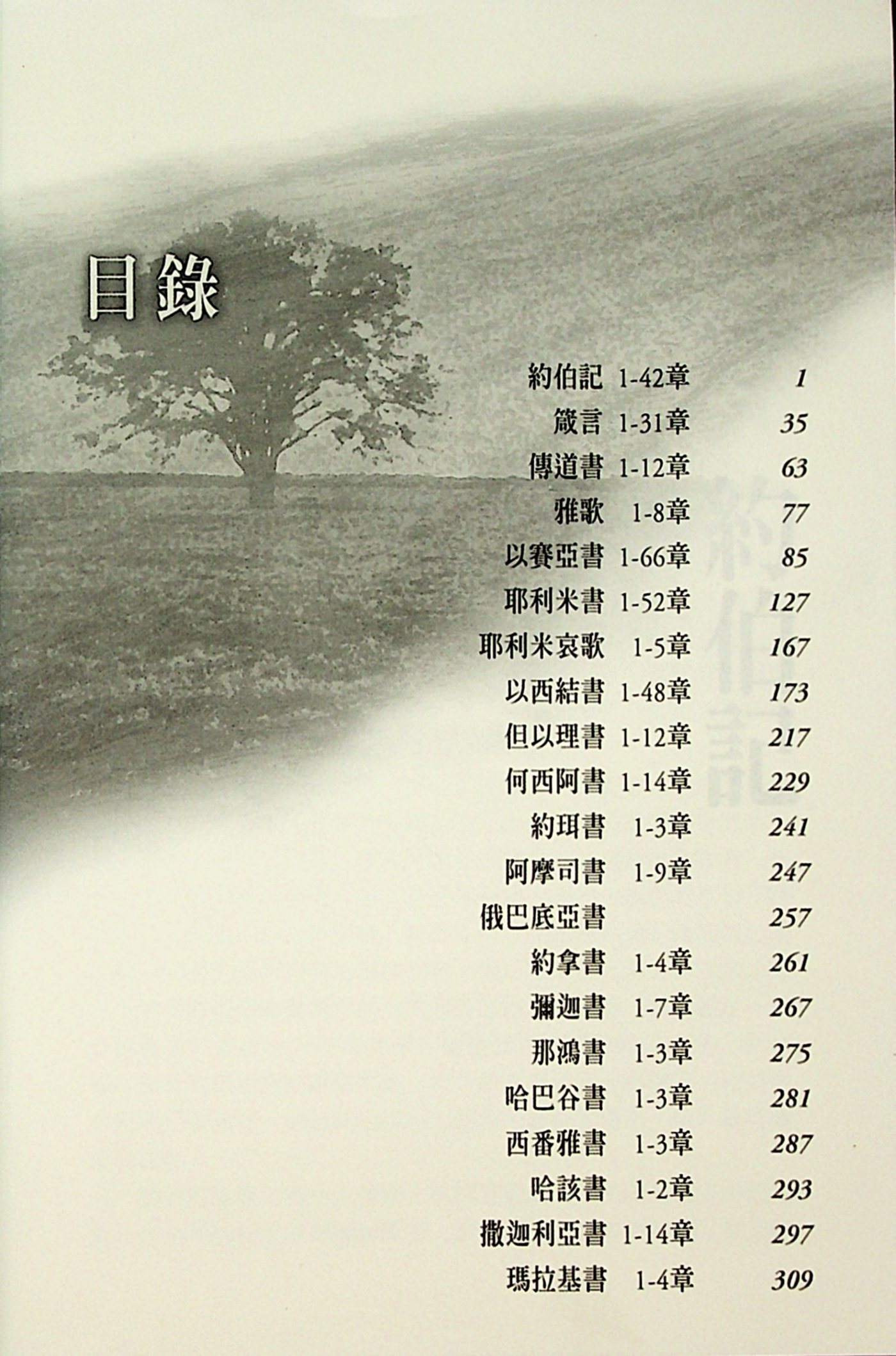 梦想智慧先知书：摩根灵修亮光丛书(三) 第 5 页预览