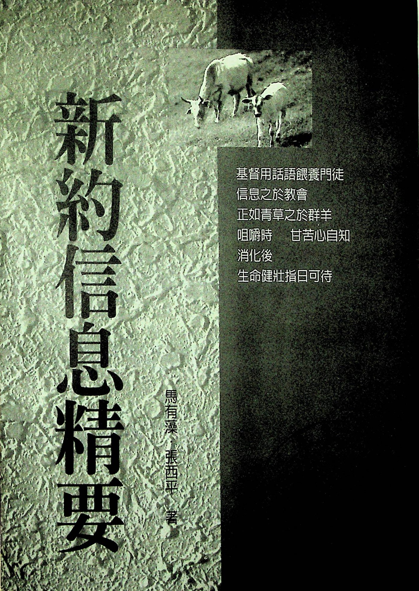 新约信息精要：马有藻，张西平 第 2 页预览