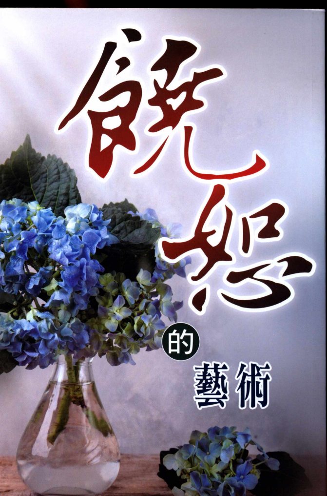 饶恕的艺术 第 1 页预览